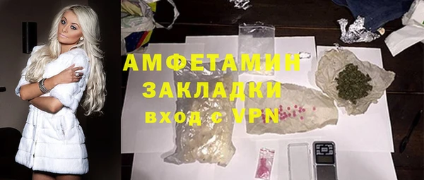 прущие грибы Богданович