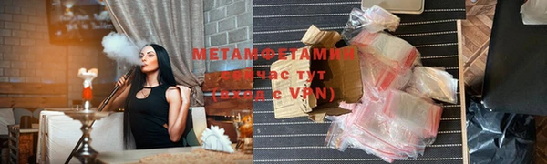 прущие грибы Богданович