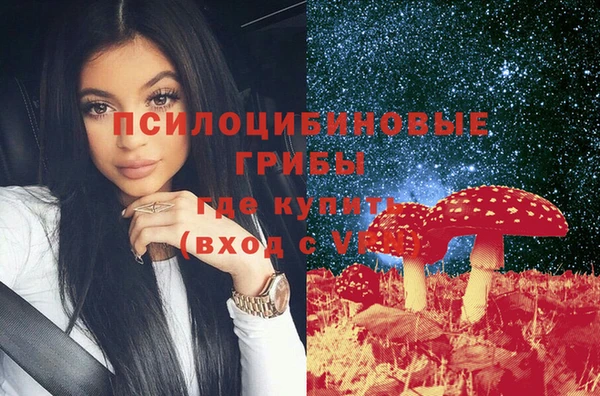 apvp Богородск