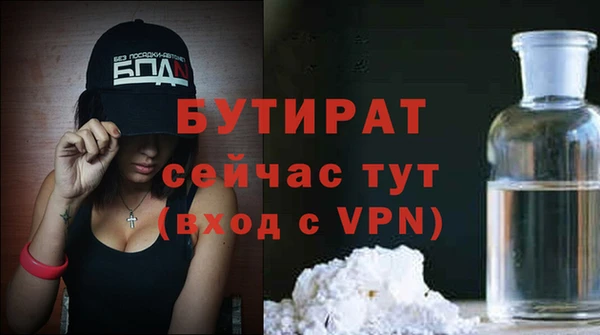 прущие грибы Богданович