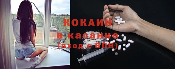 прущие грибы Богданович