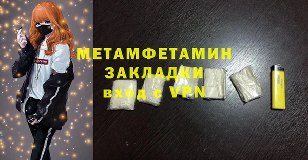 прущие грибы Богданович