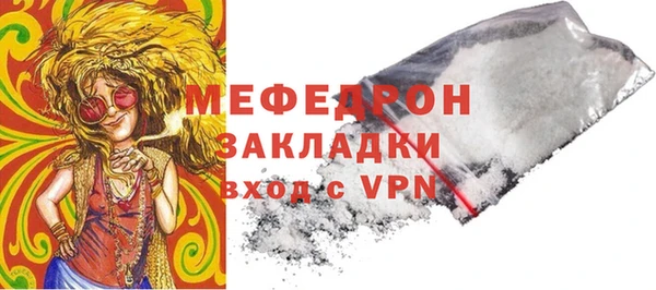 прущие грибы Богданович