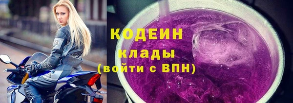 прущие грибы Богданович